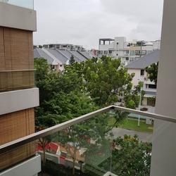 Palm Oasis (D15), Apartment #159458522